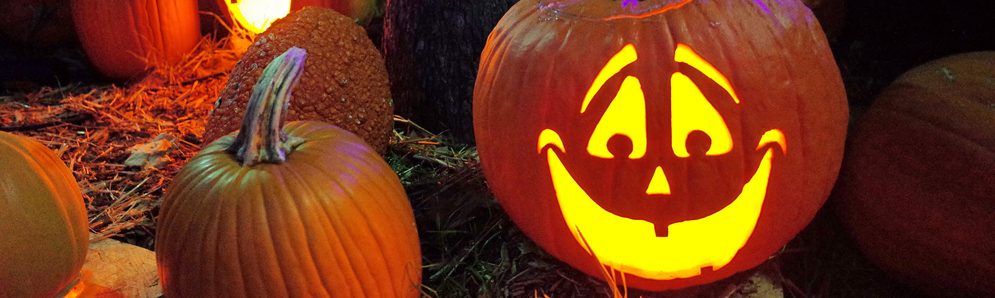 Tasty Halloween Treats: 7 Orthodontist-Approved Ideas Your Kids Will Love Blog Image